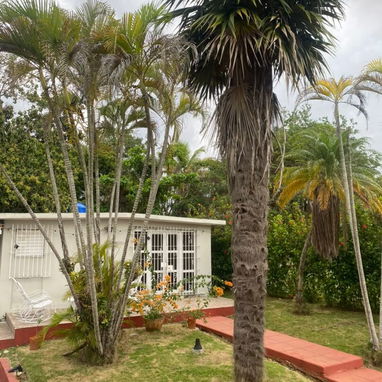 🔑🏠...HABANA+INMOBILIARIA...🏠🔑 📌...SE VENDE PROPIEDAD INDEPENDIENTE CON PISCINA EN LA LISA... - 2/10