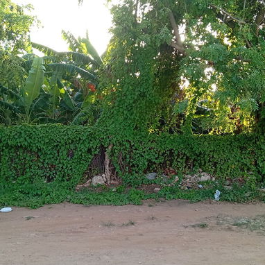 Venta de terreno en Guanabo - 8/9
