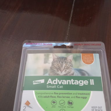 Gatos accesorios - Img 124889076