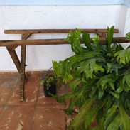 Vendo un catre de madera, para niño. Precio 2500 - Img 55553899