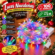 Luces navideñas (EyH) - Img 57701210