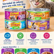 Alimento enlatado de excelente calidad para gatos - Img 58357900