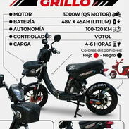 Bicimoto grillo - Img 56001041
