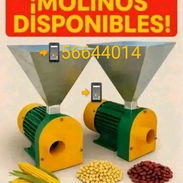Molino - Img 57189253