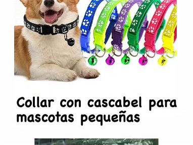 Collar de perro con casacabel - Img main-image-45782105