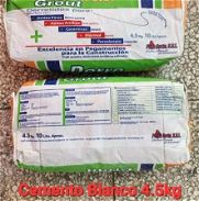 Cemento blanco y cemento cola - Img 45875061