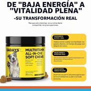 Multivitamínico Todo en Uno para Perros Kadays - Img 57716253