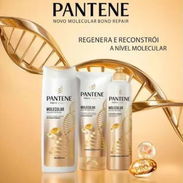 KIT PANTENE SIN SAL - Img 54490049