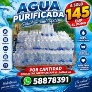 ✨️Agua purificada a 145 cup el pomo 500ml por cantidad✨️ - Img 58184057