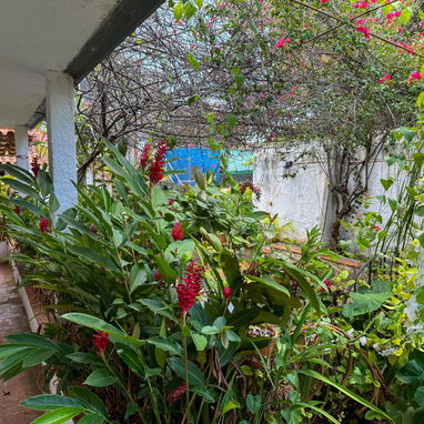 Venta de Biplanta cerca de la 5ta Avenida ( NH-38) - Img 109642539