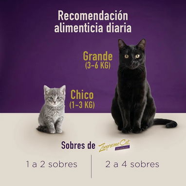 Comida húmeda para gatos - 3/7