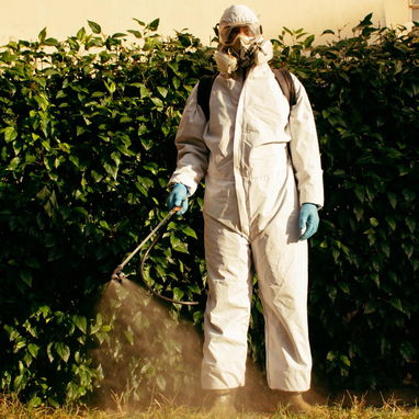 FUMIGADOR-CONTROLADOR DE PLAGAS-EXTERMINADOR. FUMIGACIÓN DE chinche cucaracha garrapatas mosquitos ratones moscas - Img 115453631