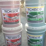 Pintura para embellecer - Img 56974425