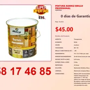 PINTURA BARNIZ BRILLO PROFESIONAL - Img 54824300