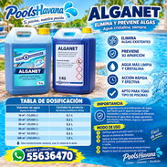 ALGANET – Alguicida para piscinas. Galón 5 L - Img 56056302