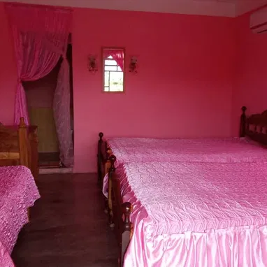 Acogedora casa hostal de renta en Viñales. - Img 116282698