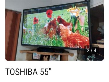 TOSHIBA 55" - Img main-image
