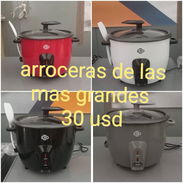 Arroceras - Img 56671619