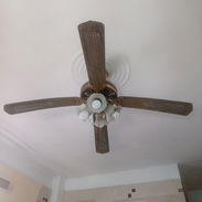 Vendo ventilador de techo en 20 usd - Img 55473552