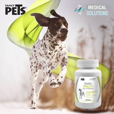 Vitaminas para perros - Img 114643271