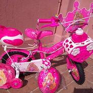 Bicicleta para niños con sus accesorios - Img 45269833