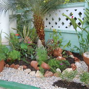 Todo en jardinería y paisajismo - Img 57822358