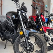 𝐌𝐎𝐓𝐎 𝐃𝐄𝐏𝐎𝐑𝐓𝐈𝐕𝐀 Xmotors 250cc - Img 58182848
