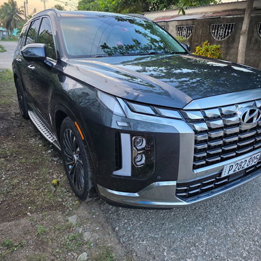Vendo o negocio, Hyundai Palisade, 2024 calle Graphic, con 20 mil millas - Img 116694745