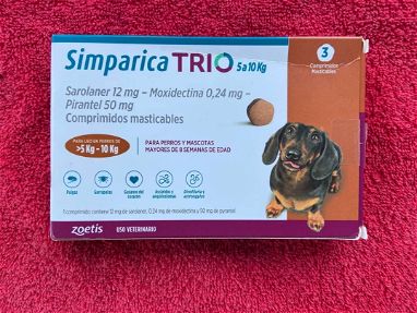 Vendo pastillas desparasitantes de perros - Img 64908193