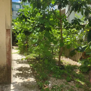 Casa en el roble en venta - Img 124613099