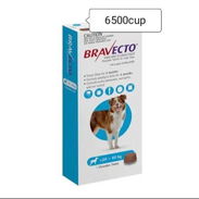 Bravecto 20-40kg - Img 55452935