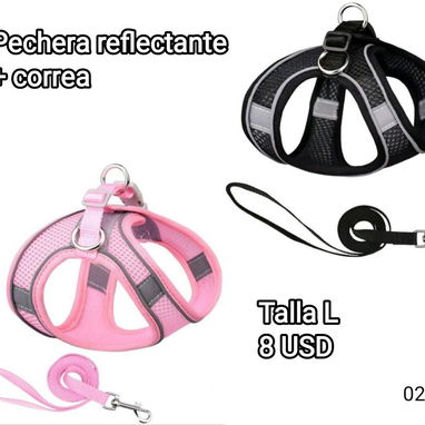 Artículos para mascotas: perros y gatos - Img 122093364