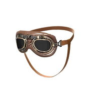 Gafas Retro para Perros - Img 57206201