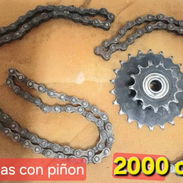 Piñon con doble cadena - Img main-image-55716314