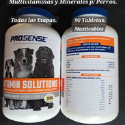Multivitaminas Prosense para perros - Img 58239396