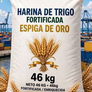 Contenedor de harina fortificada 100lb/46kg - Img 57687622