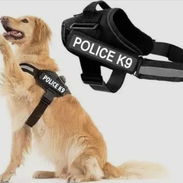 Percheras para 🦮+Agarre Seguro ideal para el disfrute del paseo🐕‍🦺 - Img 52967058