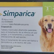 Simparica 20-40kg - 13 USD - Img 54542638