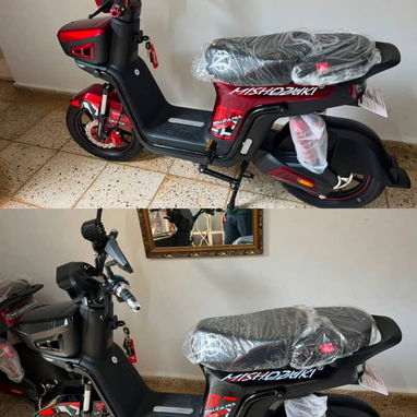 Bisimotos eléctricas - 2/3