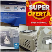 ((( EN OFERTA ESPECIAL BETTY MASCOTAS WHAT'SAPP 52506841 ))) - Img 55675932