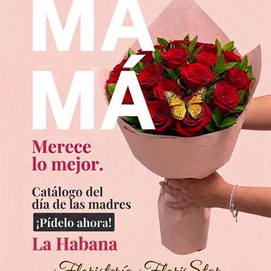 Flores peluches y regalos para Mamá envíos - Img 120792880