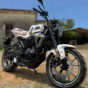 𝐌𝐎𝐓𝐎 𝐃𝐄𝐏𝐎𝐑𝐓𝐈𝐕𝐀 FURIA V8 - Img 56395958