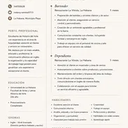 Busco empleo! puedo trabajar con las redes sociales , creando reels , directora creativa , dependienta o bartender - Img 56912786