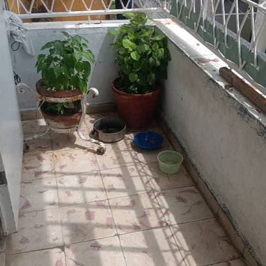 Apto en casino Deportivo de tres cuartos gas de balita en 8 mil ganga - Img 125044945