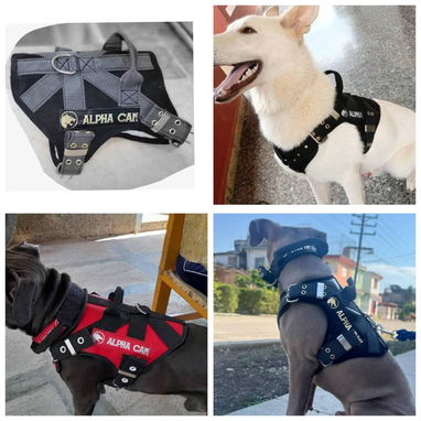 Pecheras para perros - 7/10