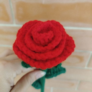 Flores eternas Girasoles, rosas, tulipanes, margaritas y más - 7/9
