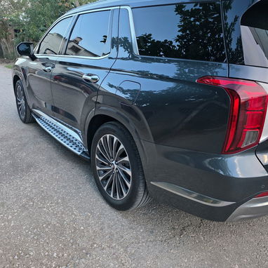 Vendo o negocio, Hyundai Palisade, 2024 calle Graphic, con 20 mil millas - Img 116694752