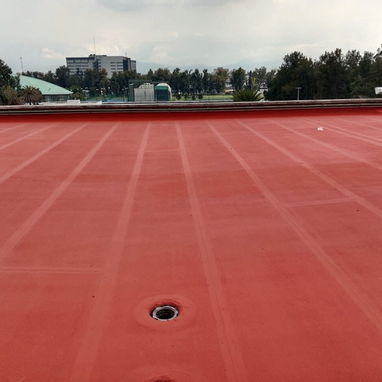 Pintura de vinil  formato 10 litros de alta gama ✅️ - 6/6