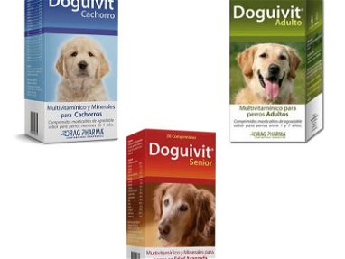 Medicamentos para perros - Img 67172762