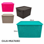 Caja organizadora multiusos con tapa (dh) - Img 55817909